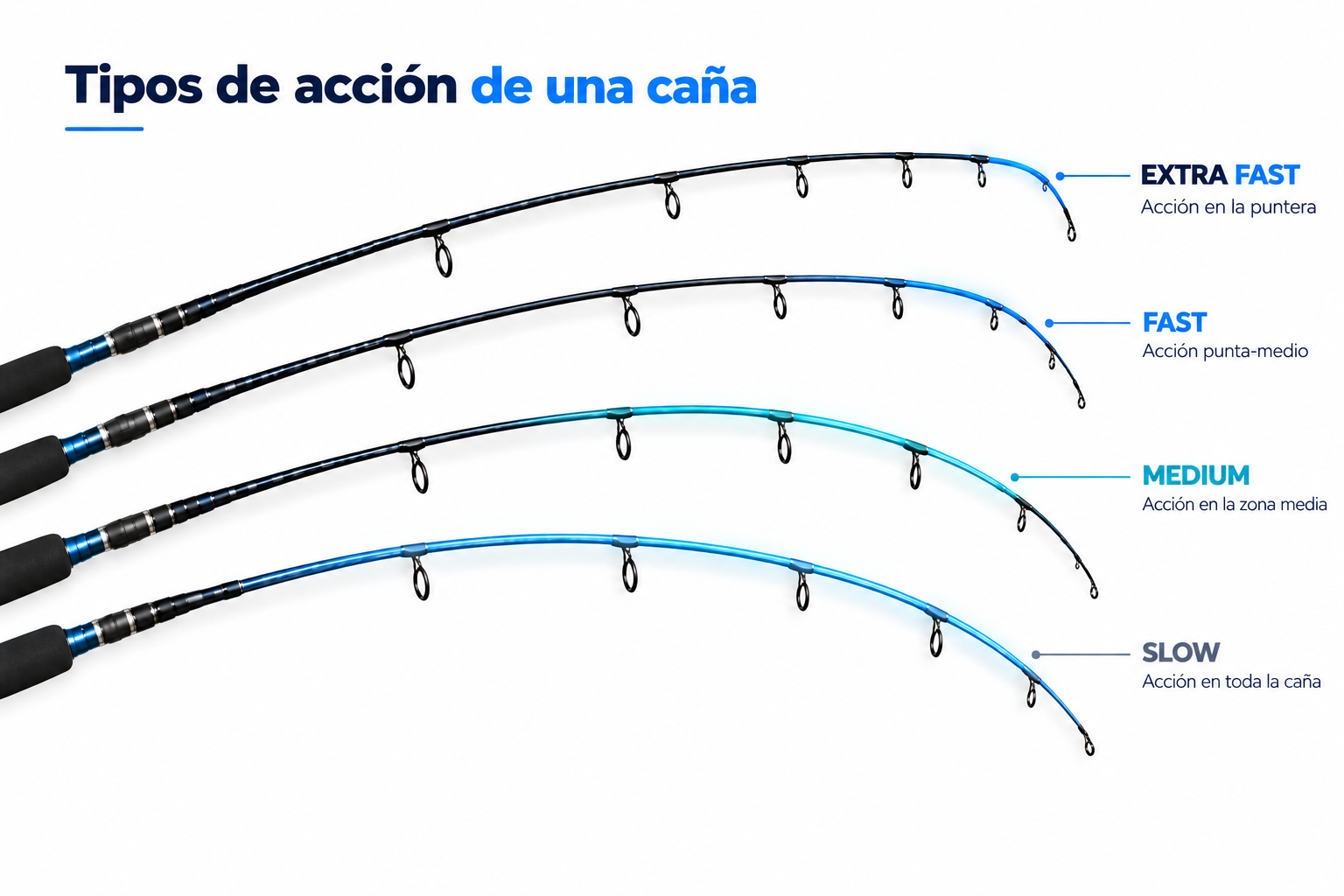 Comparación de la flexión de una caña: Extra Fast en la puntera, Fast en la parte superior, Medium en la zona media y Slow en toda la caña